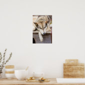 N.A., VS, Alaska. Husky sleehonden Poster (Keuken)