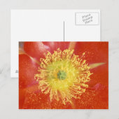 N.A., VS, Arizona, Casa Grande, NM, woestijn Briefkaart (Voorkant / Achterkant)