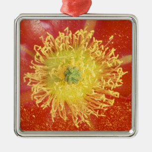 N.A., VS, Arizona, Casa Grande, NM, Woestijn Metalen Ornament