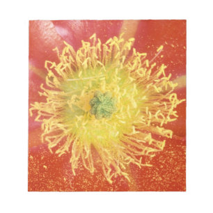 N.A., VS, Arizona, Casa Grande, NM, woestijn Notitieblok