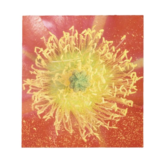 N.A., VS, Arizona, Casa Grande, NM, woestijn Notitieblok (Voorkant)