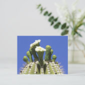 N.A., VS, Arizona, Tucson, Sonora Desert 2 Briefkaart (Staand voorkant)