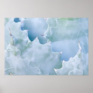 N.A., VS, Arizona, Tucson, Sonora Desert Poster