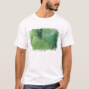 N.A., VS, Arizona, Tucson, Sonora Desert T-shirt