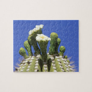 N.A., VS, Arizona, Tucson, Sonorawoestijn 2 Legpuzzel