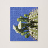 N.A., VS, Arizona, Tucson, Sonorawoestijn 2 Legpuzzel (Verticaal)