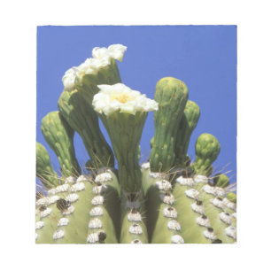 N.A., VS, Arizona, Tucson, Sonorawoestijn 2 Notitieblok