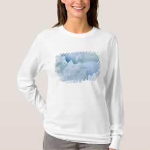 N.A., VS, Arizona, Tucson, Sonorawoestijn 2 T-shirt