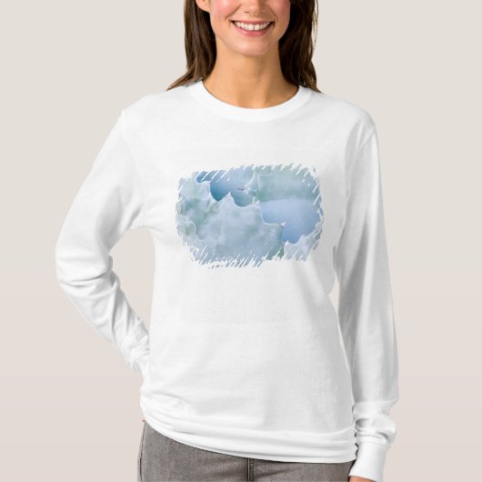 N.A., VS, Arizona, Tucson, Sonorawoestijn 2 T-shirt (Voorkant)