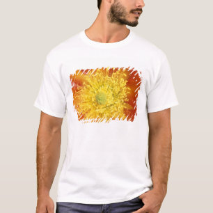 N.A., VS, Arizona, Tucson, Sonorawoestijn 3 T-shirt