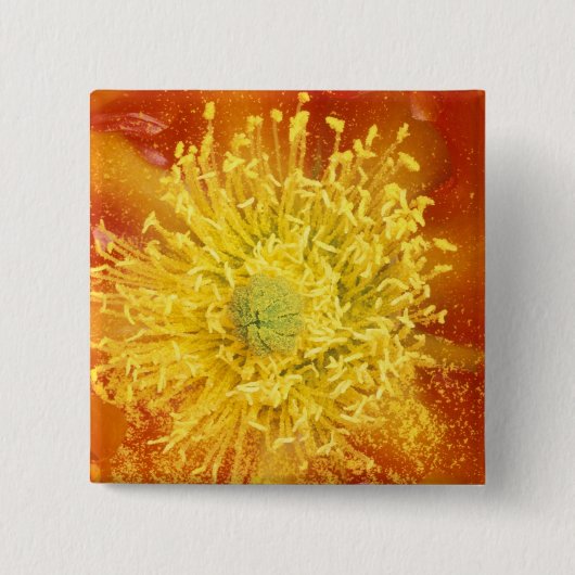 N.A., VS, Arizona, Tucson, Sonorawoestijn 3 Vierkante Button 5,1 Cm (Voorkant)