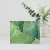 N.A., VS, Arizona, Tucson, Sonorawoestijn Briefkaart (Staand voorkant)