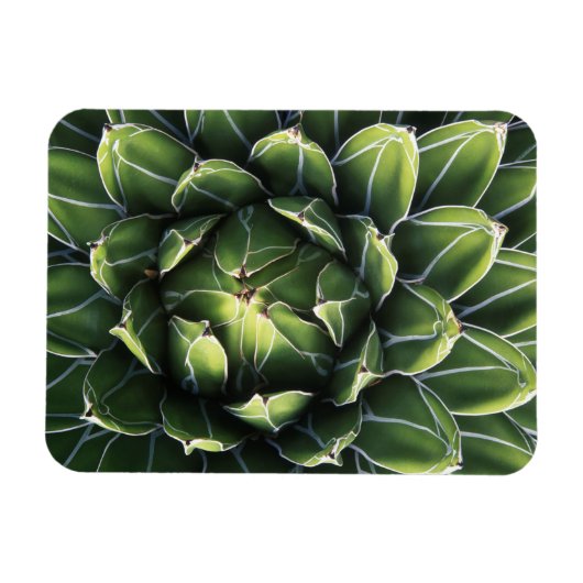 N.A., VS, Arizona, Tucson, Sonorawoestijn Magneet (Horizontaal)