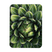 N.A., VS, Arizona, Tucson, Sonorawoestijn Magneet (Verticaal)