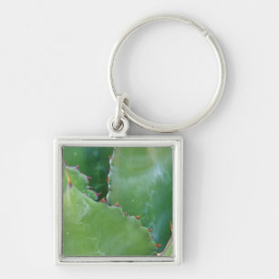 N.A., VS, Arizona, Tucson, Sonorawoestijn Sleutelhanger