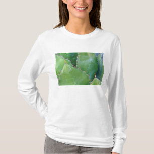 N.A., VS, Arizona, Tucson, Sonorawoestijn T-shirt