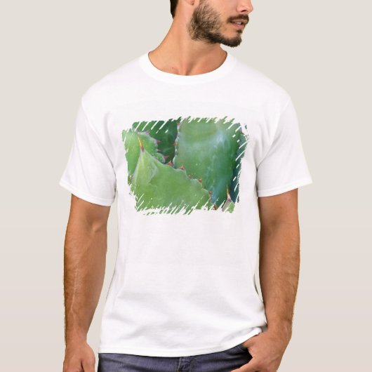 N.A., VS, Arizona, Tucson, Sonorawoestijn T-shirt (Voorkant)