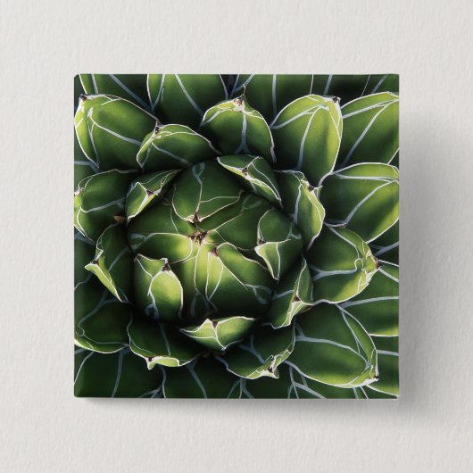 N.A., VS, Arizona, Tucson, Sonorawoestijn Vierkante Button 5,1 Cm (Voorkant)