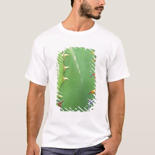 N.A., VS, AZ, Phoenix, Desert Botanical 2 T-shirt (Voorkant)