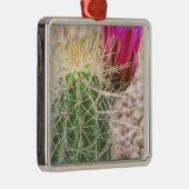 N.A., VS, AZ, Phoenix, Desert Botanical Metalen Ornament (Rechts)