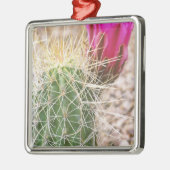N.A., VS, AZ, Phoenix, Desert Botanical Metalen Ornament (Links)