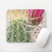 N.A., VS, AZ, Phoenix, Desert Botanical Muismat (Met muis)