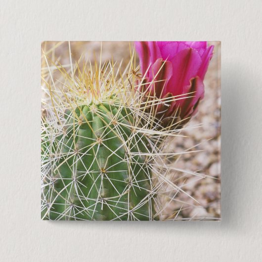 N.A., VS, AZ, Phoenix, Desert Botanical Vierkante Button 5,1 Cm (Voorkant)