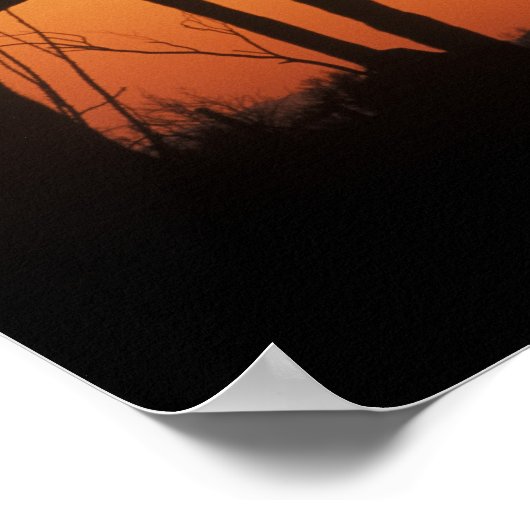 N.A., VS, AZ, Saguaro NP, Saguaro Sunset Poster (Hoek)