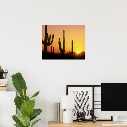 N.A., VS, AZ, Saguaro NP, Saguaro Sunset Poster (Thuiskantoor)
