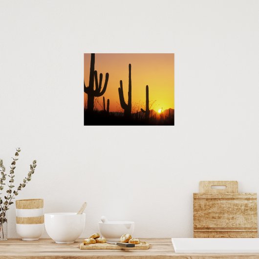 N.A., VS, AZ, Saguaro NP, Saguaro Sunset Poster (Keuken)