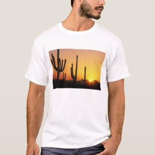 N.A., VS, AZ, Saguaro NP, Saguaro Sunset T-shirt