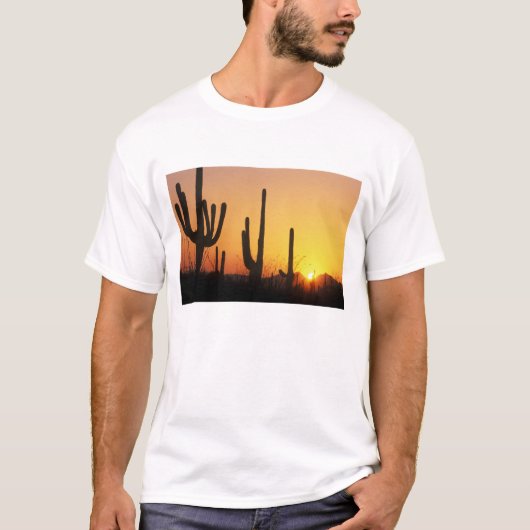 N.A., VS, AZ, Saguaro NP, Saguaro Sunset T-shirt (Voorkant)
