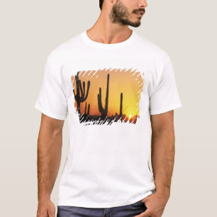 N.A., VS, AZ, Saguaro NP, Saguaro Sunset T-shirt