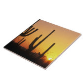 N.A., VS, AZ, Saguaro NP, Saguaro Sunset Tegeltje (Zijkant)