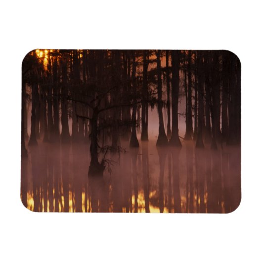 N.A., VS, Georgia, George Smith State Park. Magneet (Horizontaal)