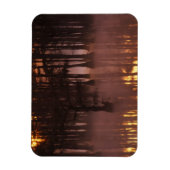 N.A., VS, Georgia, George Smith State Park. Magneet (Verticaal)