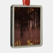 N.A., VS, Georgia, George Smith State Park. Metalen Ornament (Rechts)