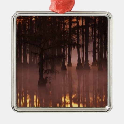 N.A., VS, Georgia, George Smith State Park. Metalen Ornament (Voorkant)