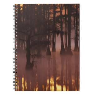 N.A., VS, Georgia, George Smith State Park. Notitieboek