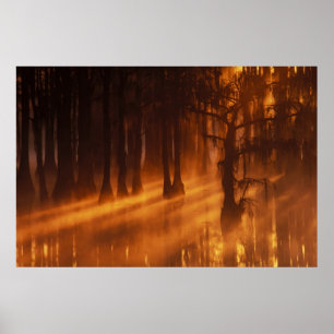 N.A., VS, Georgia, George Smith State Park. Poster