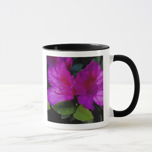 N.A. VS, Georgia, Savannah. Azalea in bloei. Mok (Rechts)