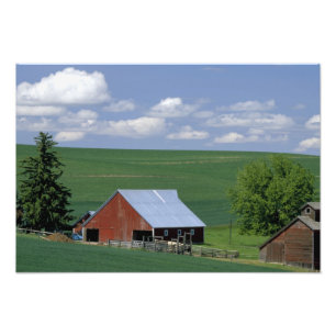 N.A., VS, Idaho, Latah county bij Genesee. Foto Afdruk