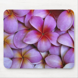N.A., VS, Maui, Hawaï. Roze Plumeria bloemen. Muismat