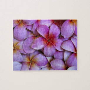 N.A., VS, Maui, Hawaï. Roze Plumeria-bloesems. Legpuzzel