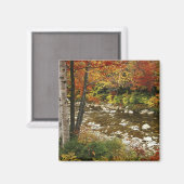 N.A., VS, New Hampshire, White Mountains, Magneet (Voorkant / Achterkant)