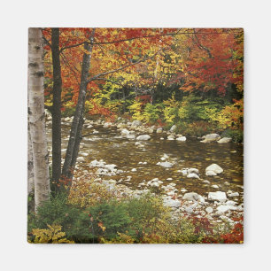 N.A., VS, New Hampshire, White Mountains, Magneet