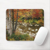 N.A., VS, New Hampshire, White Mountains, Muismat (Met muis)