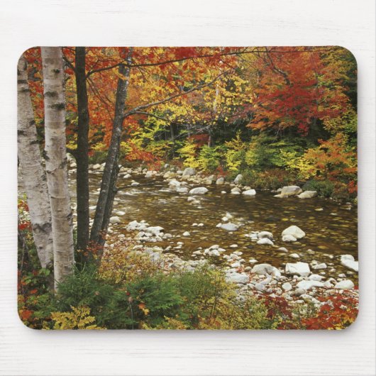 N.A., VS, New Hampshire, White Mountains, Muismat (Voorkant)
