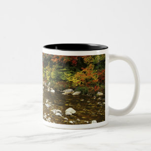 N.A., VS, New Hampshire, White Mountains, Tweekleurige Koffiemok