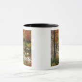 N.A., VS, New Hampshire, Witte Bergen, Mok (Midden)